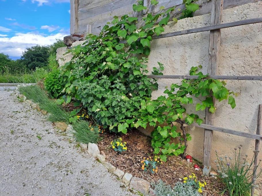 Pod Vinogradi Apartment Skocjan  Exterior photo